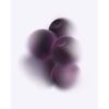 Cassis Pods Cassis Pods